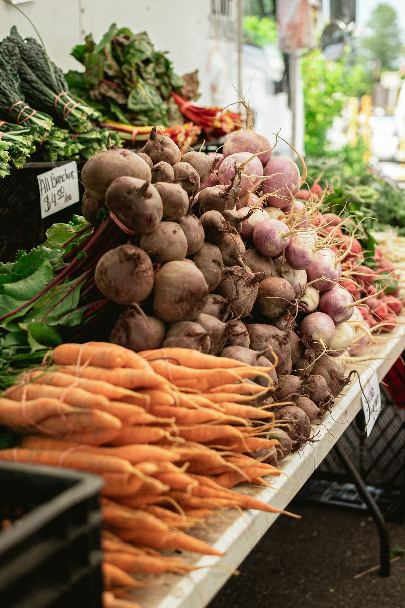 Carrots and roots bundle